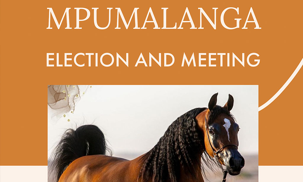 Mpumalanga Regional Meeting