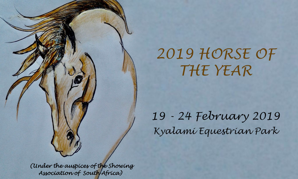 Horse of the Year 2019