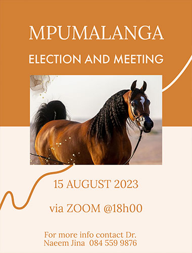Mpumalanga Region Meeting